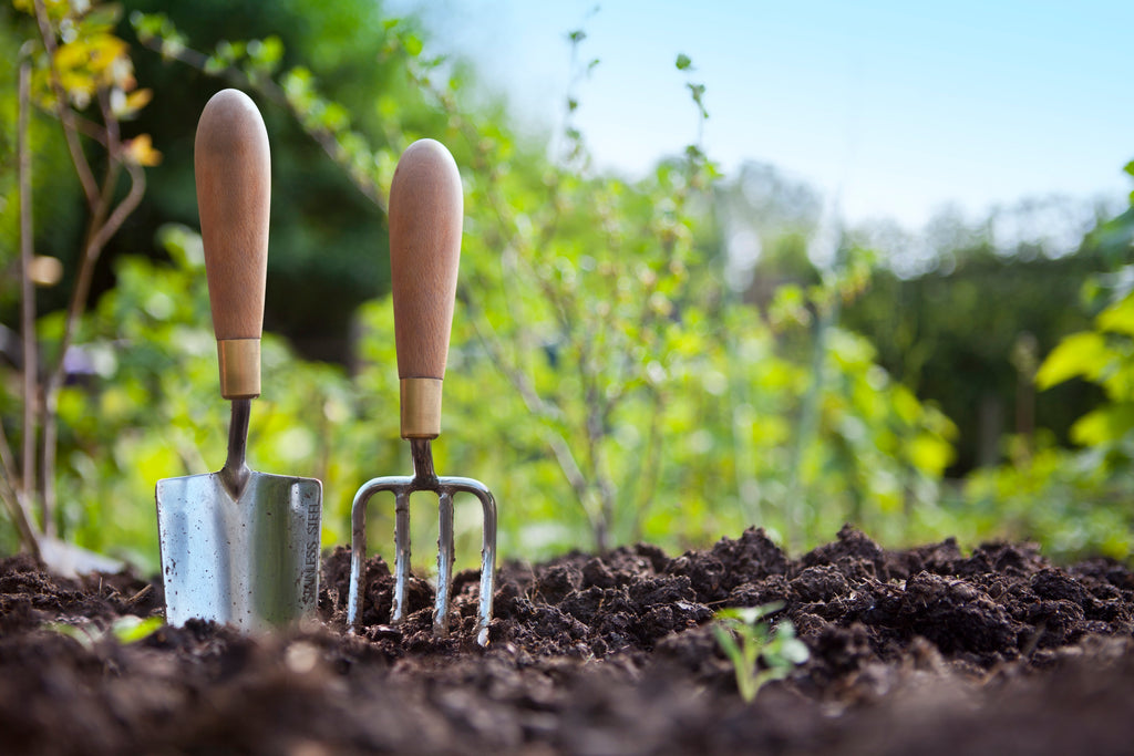 Outils, équipements et accessoires de jardinage