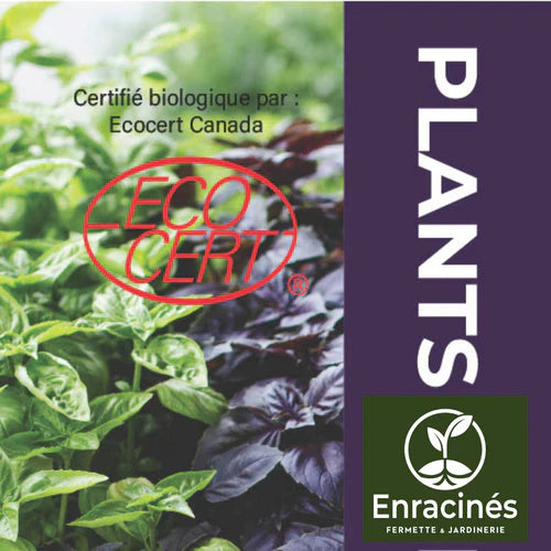 Certification Ecocert 2025-2026