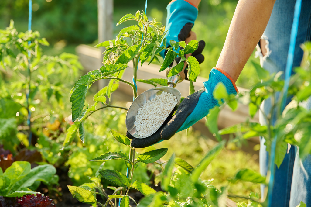 Meilleurs engrais naturels pour le potager Enracinés — free download