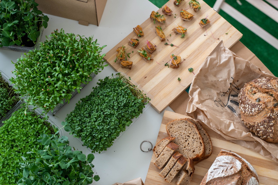 La culture des micro-pousses : Un concentré de saveurs et de nutriments à portée de main !