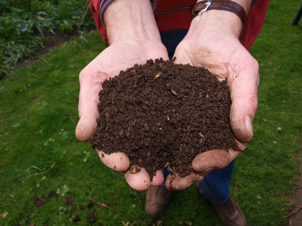 Fumivo  Compost jardin : quels bienfaits pour votre terre ? - Fumivo