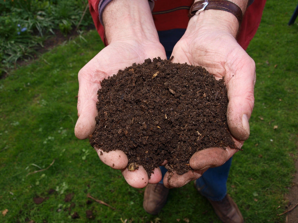 Terre, terreau, compost, fumier, les différences
