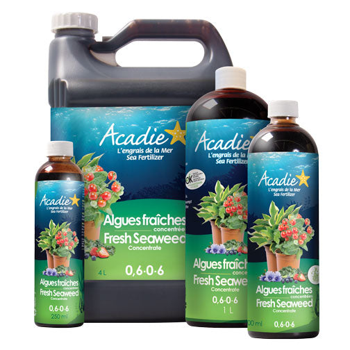 Engrais naturel algues fraîches concentrées 0,6-0-6
