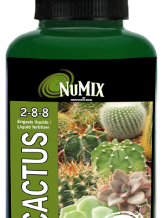 Engrais liquide pour cactus et plantes grasses 2-8-8