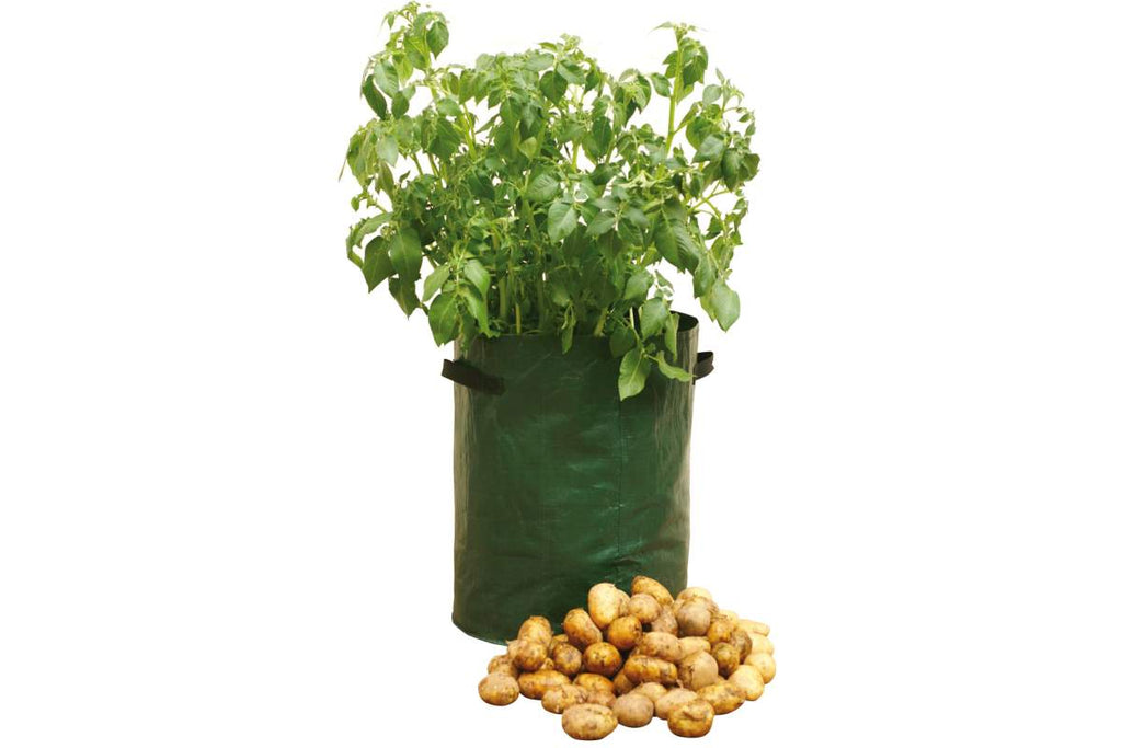Jardinières ronde pour patates