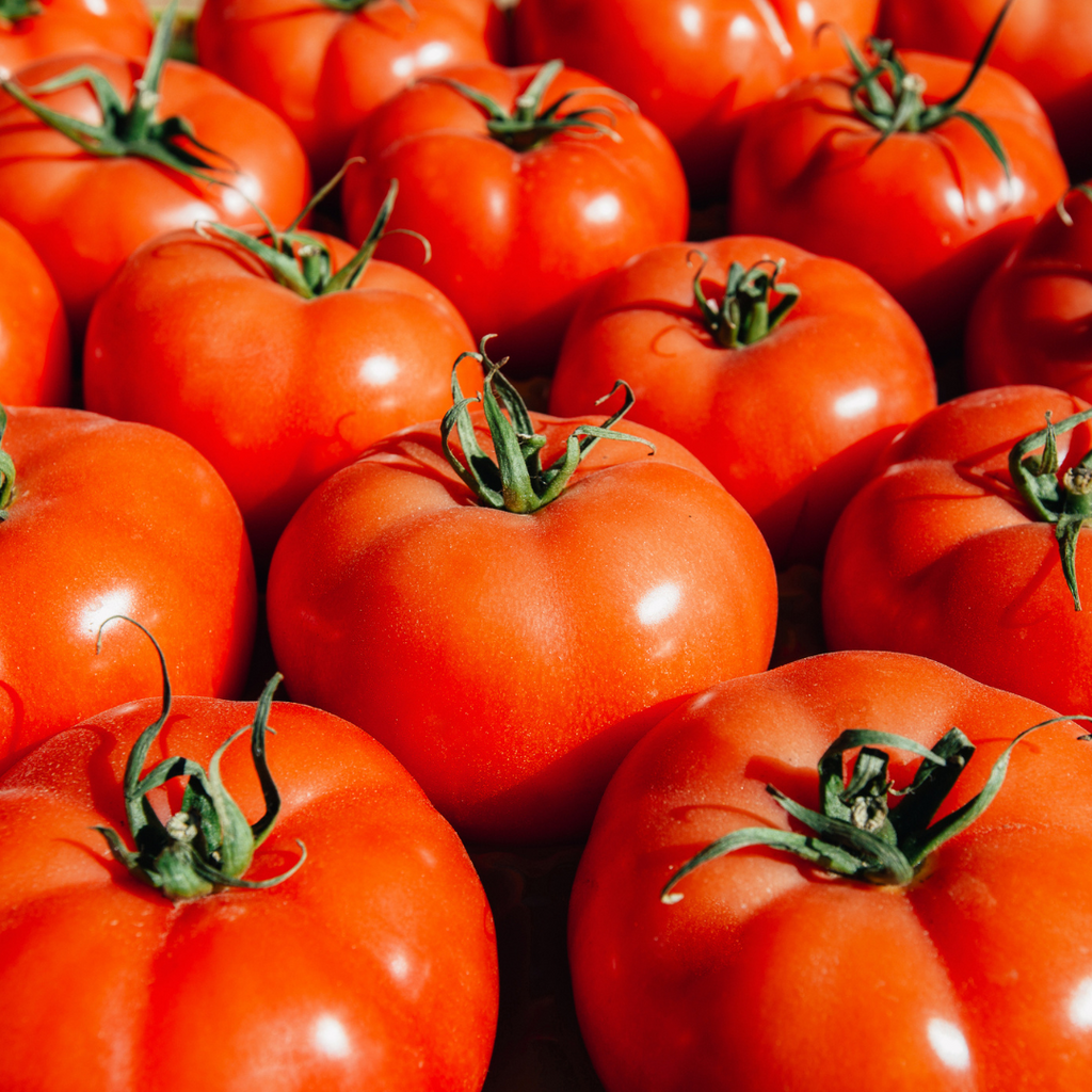 Tomate rouge 'Marriage Genuwine' (plant BIO)