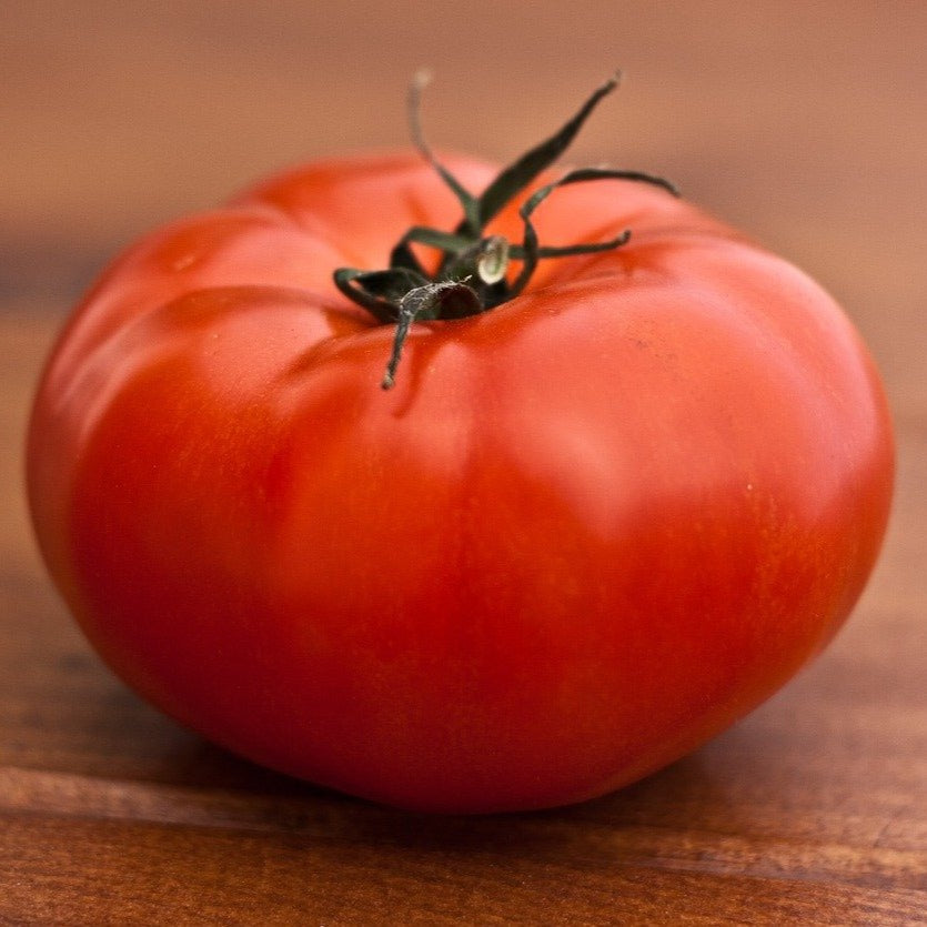 Tomate rouge 'Plourde' (plant BIO)