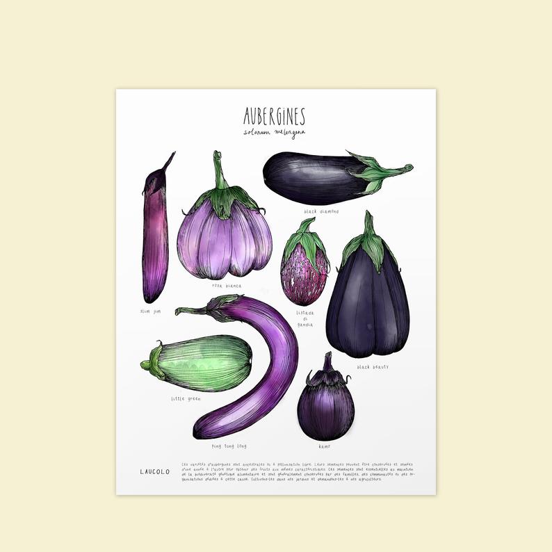 Affiche aubergines