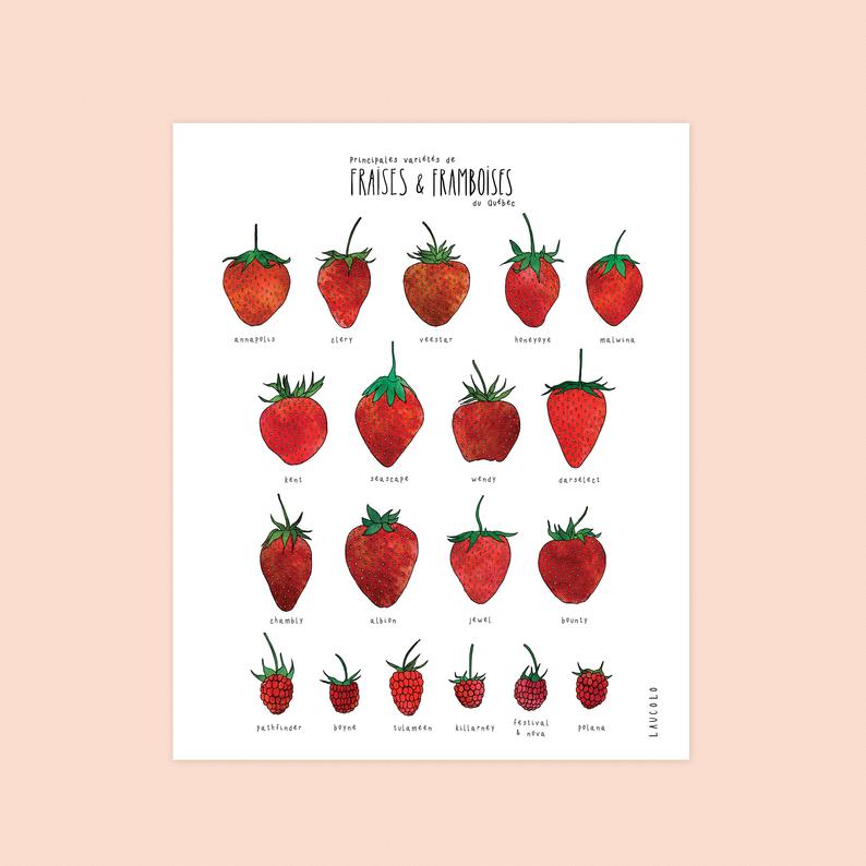 Affiche fraises et framboises