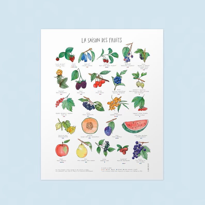Affiche saison des fruits