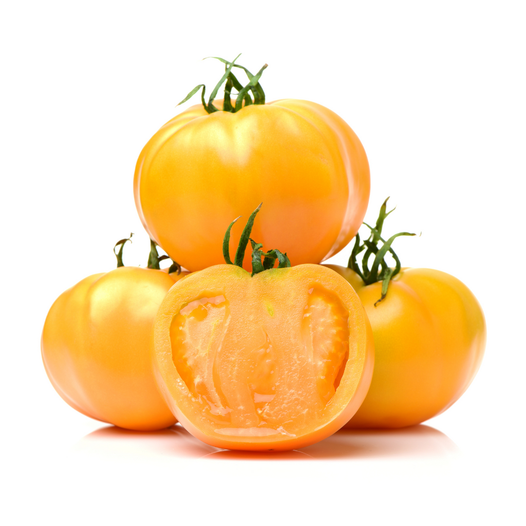 Tomate jaune 'Jubilee' (plant BIO)