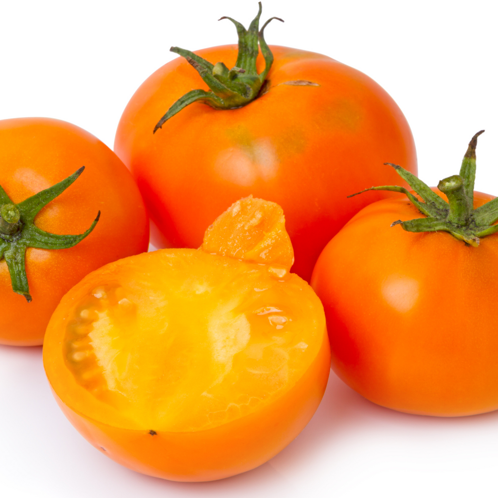 Tomate orange Golden Delight (plant BIO)