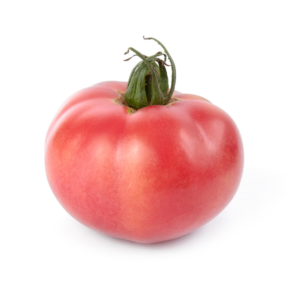 Tomate rose 'Savignac' (plant BIO)