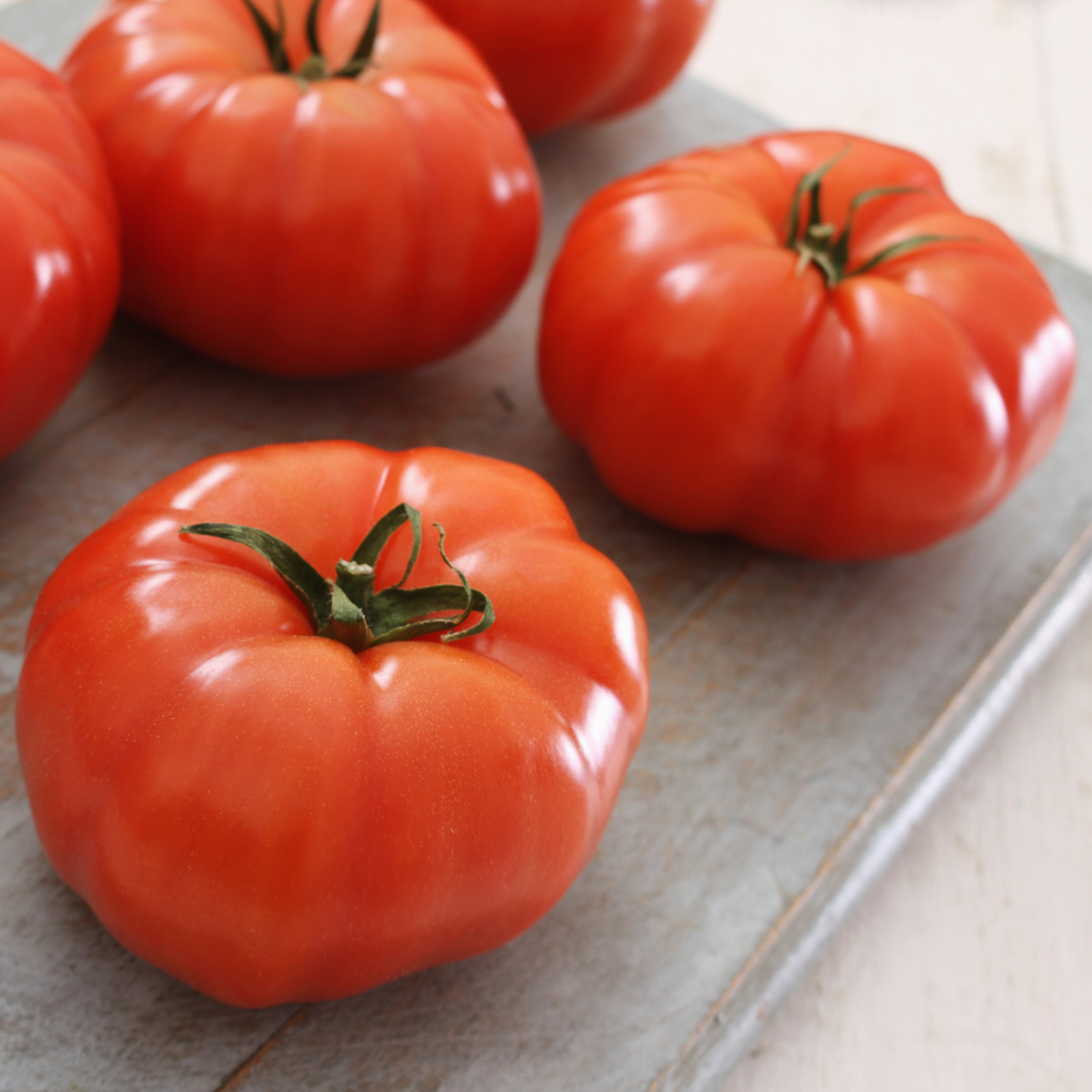 Tomate rouge 'Big Beef' (plant BIO)