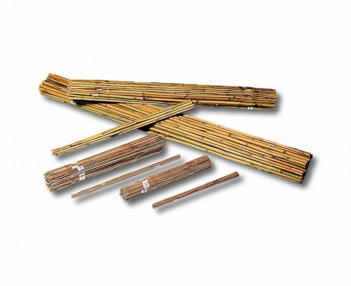 Tuteur en bambou naturel 36" 10-12 mm - pqt 10